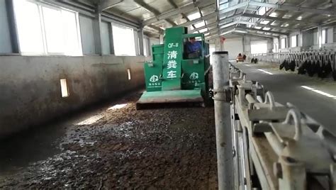 Dairy Farm Lingkungan Kotoran Sapi Mesin Pembersih Kotoran Sapi Mesin