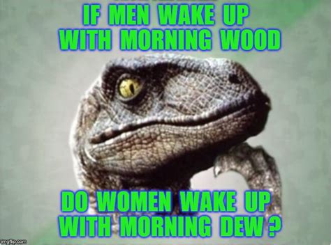 Morning Wood Imgflip