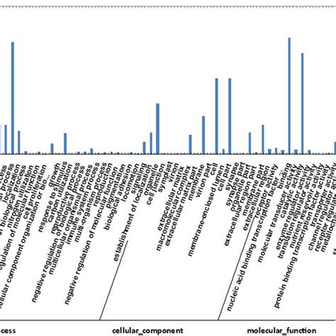 Diagram Of The KOG Clusters Of Orthologous Groups Classification A