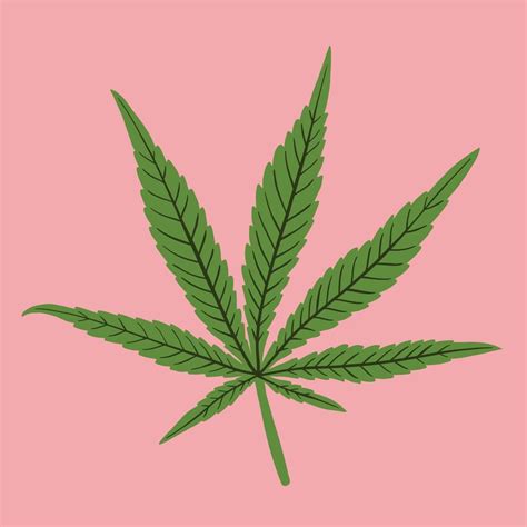 simplicity cannabis leaf freehand drawing flat design. 17154610 Vector Art at Vecteezy