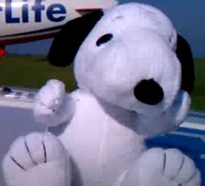 Dancing MetLife Snoopy | PBC International Wiki | Fandom