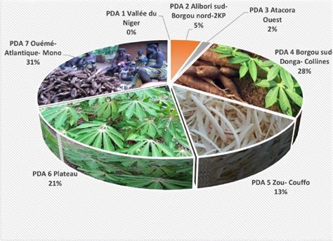 Production et transformation du manioc au Bénin Une filière attractive