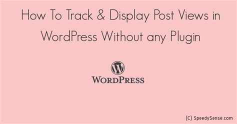 How To Track And Display Post Views In Wordpress Without Any Plugin