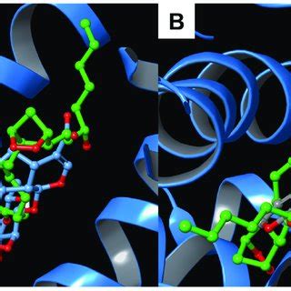 Superimposition Between The Co Crystallized Prostaglandin G And A