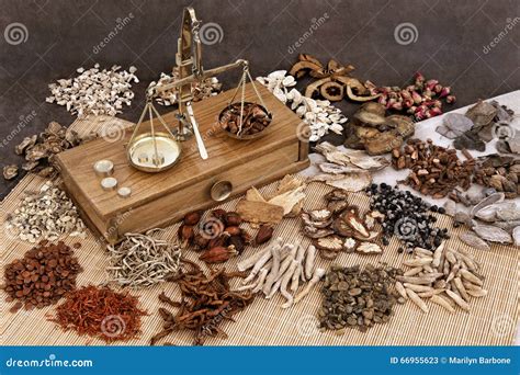 Chinese Herb Ingredients Stock Image Image Of Asian 66955623