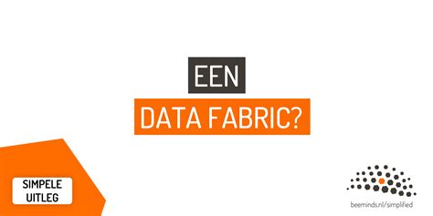 Data Fabric Eenvoudig Uitgelegd Beeminds