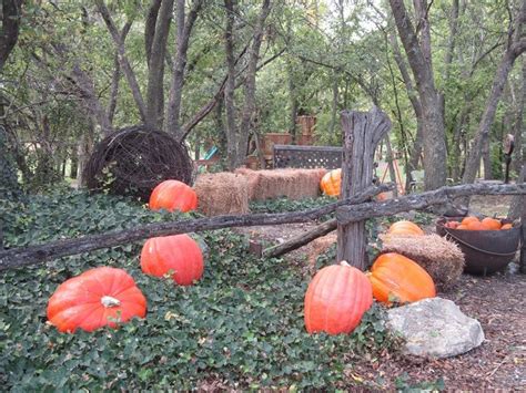 Walters Pumpkin Patch And Corn Maze Burns Ks