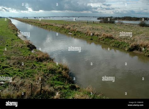 Fen Flooding Beside The Main Cut On The Ouse Washes Near Welney