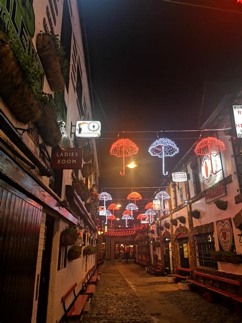 111 best Northern Quarter images on Pholder | Whatsthisbug