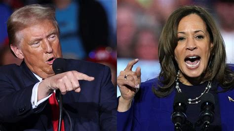 Donald Trump Vs Kamala Harris Quién Ganará Las Elecciones Según Los Argentinos Perfil