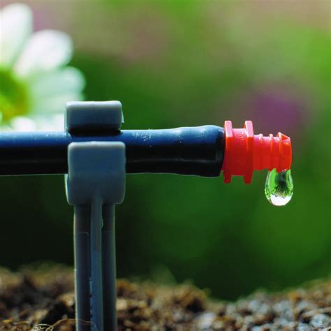 Watering Systems Comparison Claber Vs Hozelock Stop Worrying About