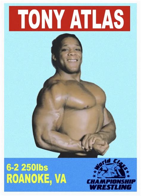 LJACARDS WCCW HISTORY OF WRESTLING TRADING CARDS 2023 – TONY ATLAS ...