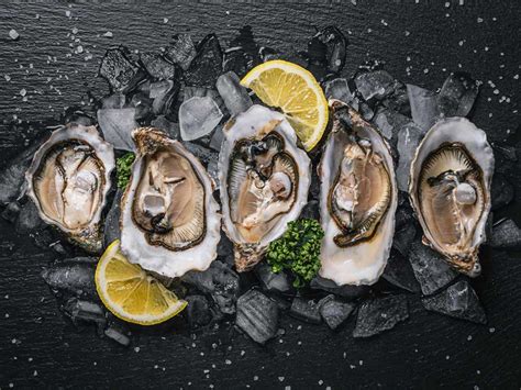 Fresh Oysters | Buy Oysters Online in UK