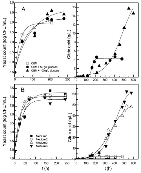 Variations In Yeast Count And Citric Acid Concentration With Time For