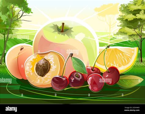 Jardins De Fruits Banque D Images Vectorielles Alamy