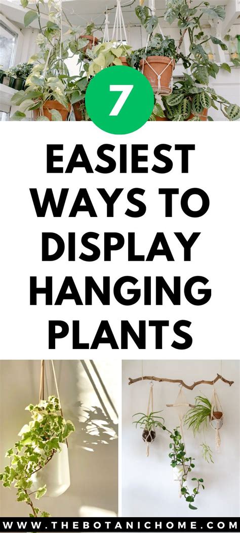 How To Easily Hang Plants From The Ceiling In Your Apartment Artofit