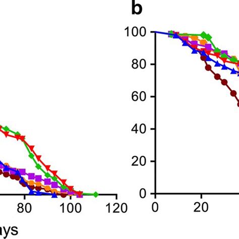 Survival Curves Of Male A And Female B Flies Developed In Conditions Of Download Scientific