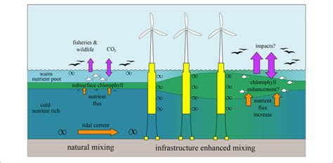 Offshore Wind Infrastructure Adds Wake Turbulence Throughout The