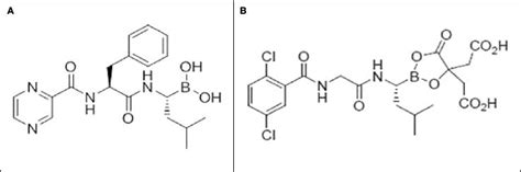 Ixazomib The First Oral Proteasome Inhibitor For The Treatment Of