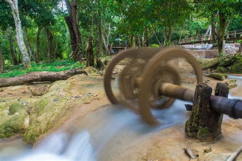 Premium Photo Blurred Motion Of Water Flowing By Trees In Forest