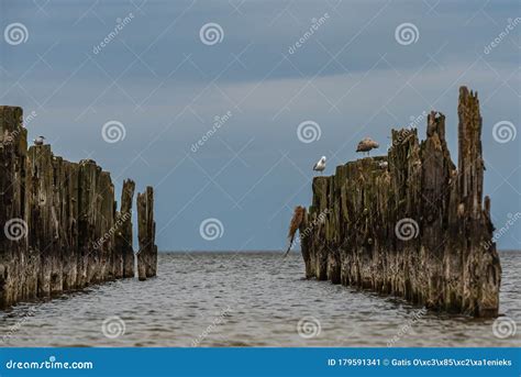 Old Boat Mooring Poles On The Shores Of The Baltic Sea Stock Image