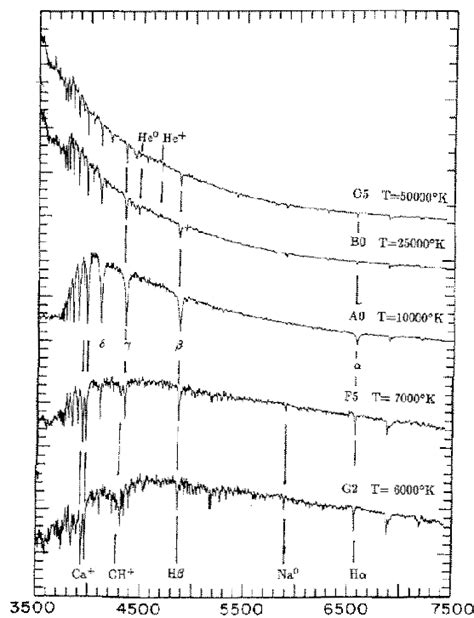 Stellar Spectra