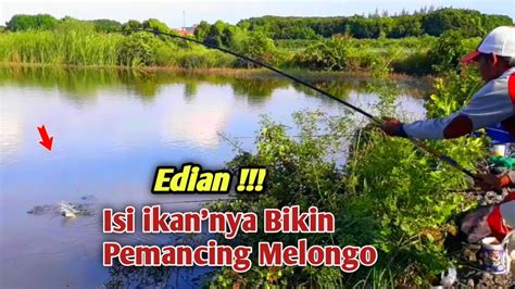 ANEH TAPI ADA Ngeri Dapat Ikan Berwujut Buntung Mancing Nila