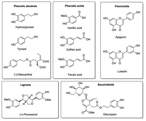 Molecules Free Full Text Potential Role Of Olive Oil Phenolic