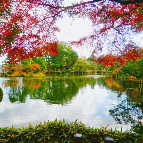 日本の秋ならではの絶景！秋のおすすめ景色23選