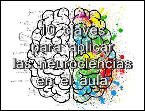 10 Claves Para Aplicar Las Neurociencias Al Aula Docentes Ser Docente Educacion