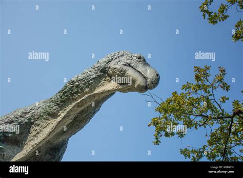 Brontosaurus Teeth High Resolution Stock Photography and Images - Alamy