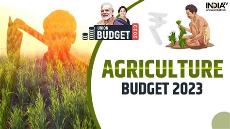 Agriculture Budget Timmy Giuditta