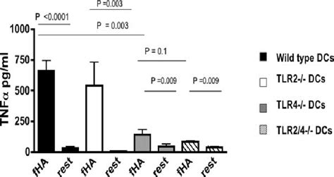 FHA Induced Production Of TNF A Is Largely Dependent On TLR 4