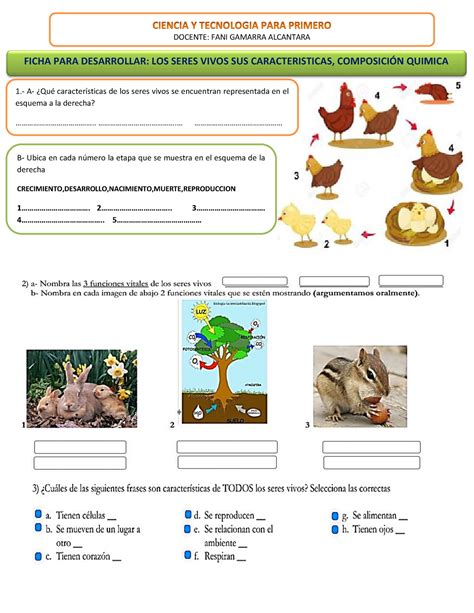 Los Seres Vivos Activity For Primero De Primaria Seres Vivos E NBKomputer