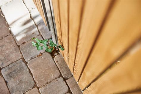 Holzbau Gartengestaltung In Wien Nieder Sterreich Tulpenbaum