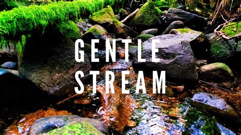 Unbelievably Relaxing Stream Sounds Perfect For Sleep Study More