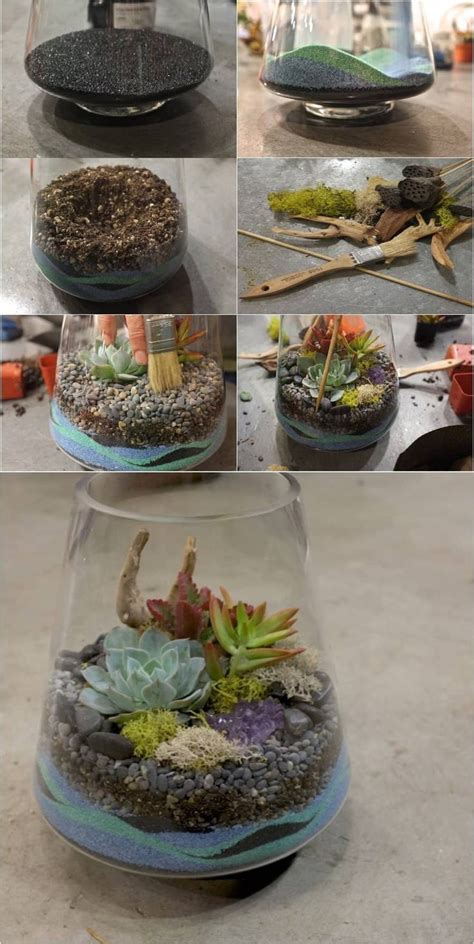 How To Make A Succulent Terrarium With Sand Craftsmumship