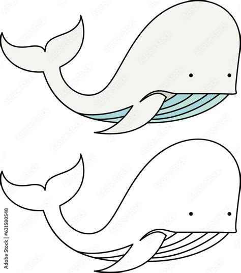 White Whale Simple Style Vector Illustration Belugas Whale Colored