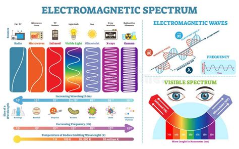 Electromagnetic Spectrum Stock Illustrations – 1,555 Electromagnetic Spectrum Stock ...