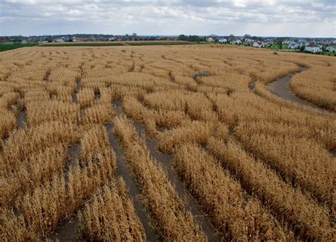 Richardson Adventure Farm Corn Maze in Illinois 2024 - Rove.me