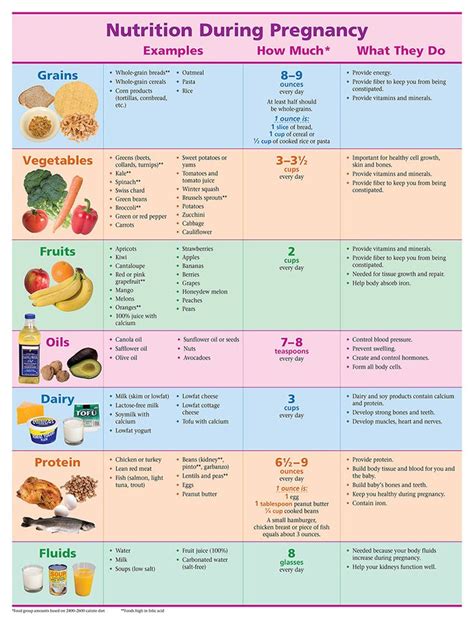 Nutrition During Pregnancy Pamphlet Etr Pregnancy Food Healthy