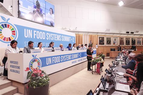 Unfss 2 Stocktaking Un Food Systems Coordination Hub