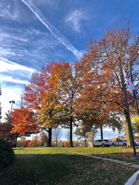 Fairfax, VA - fall weather morning view : r/Outdoors