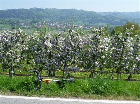 Bl Tenfahrt Mit Dem Rennrad An Den See Dav Sektion Isny