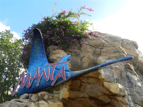 Manta at SeaWorld Orlando is INCREDIBLE and Here's Everything You Need ...