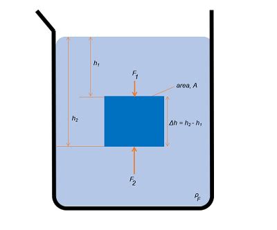 Buoyant Force | Definition & Examples - Lesson | Study.com