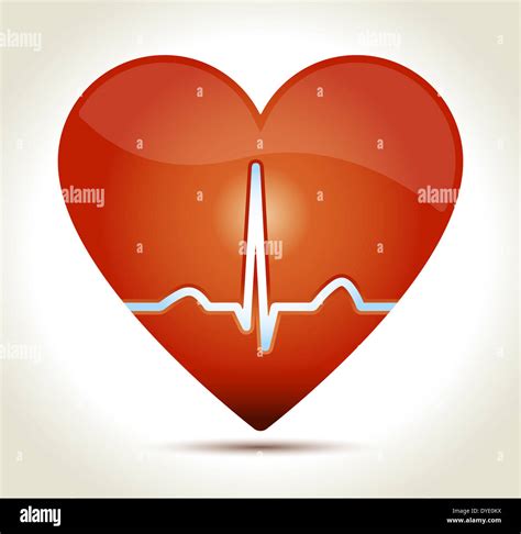 Coeur Rouge Brillant Avec Un Lectrocardiogramme Normal Rythme Sinusal