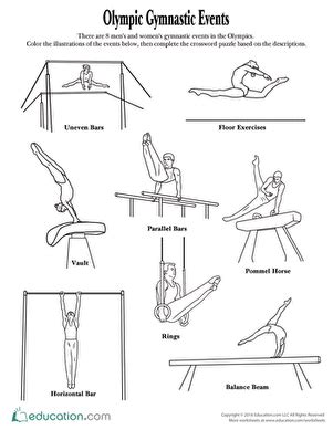 Gymnastic Events | Worksheet | Education.com | Gymnastics events, Olympic gymnastics, Gymnastics