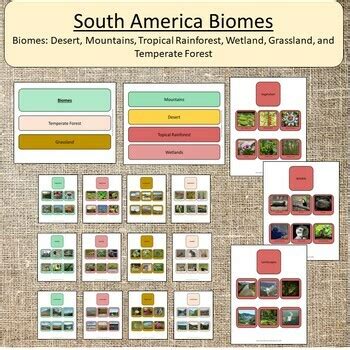 South America Biomes Geography Science Climates Plants Animals | TPT