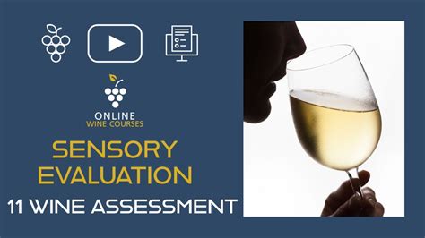 11 Wine Assessment Sensory Evaluation Wine Tasting Online Wine